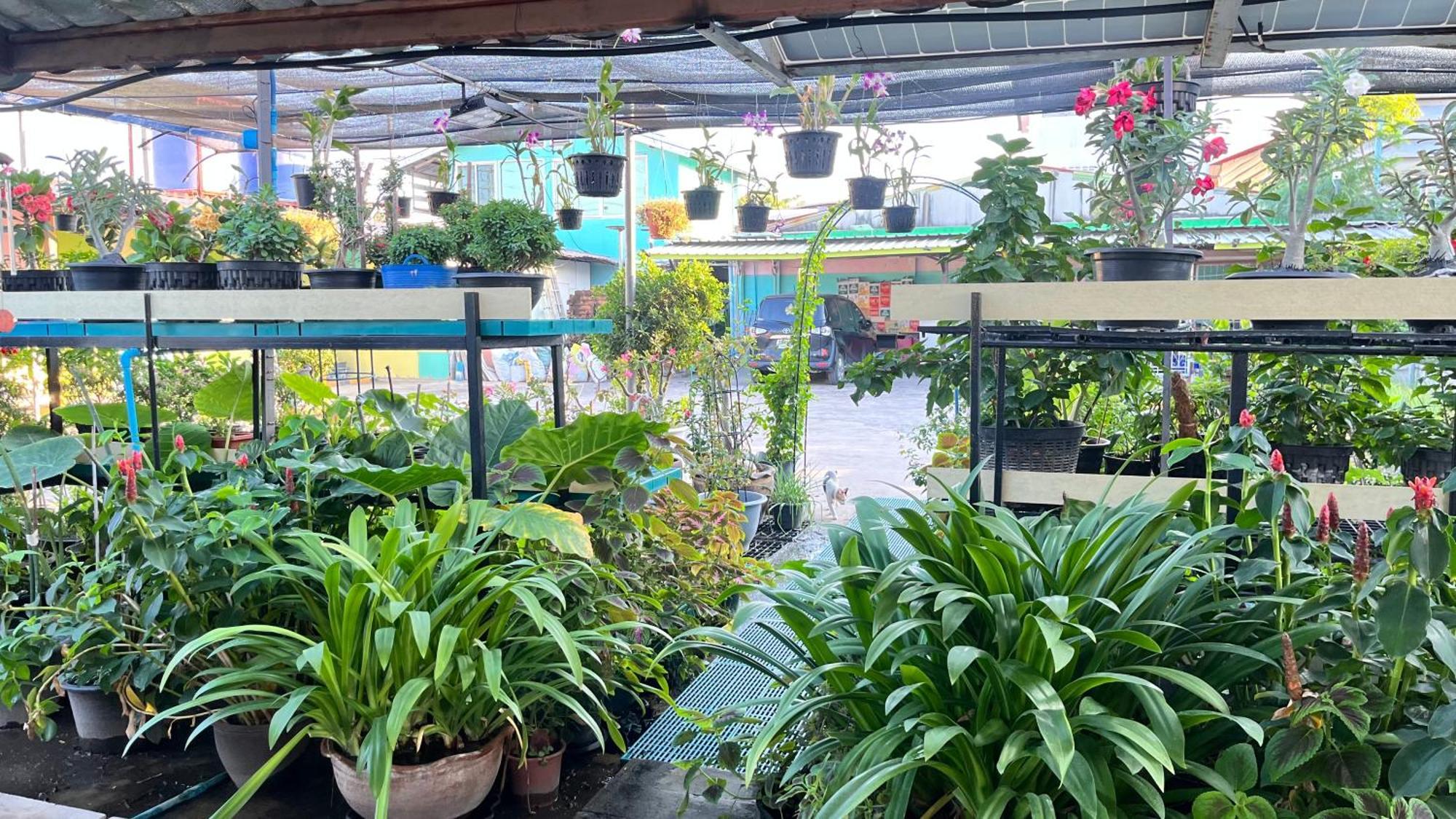 Pa Chalermchai Guesthouse Bangkok Buitenkant foto